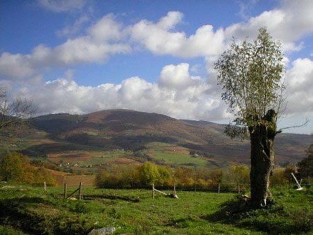 Villa La Bégude D'Amalthée Vernay Esterno foto