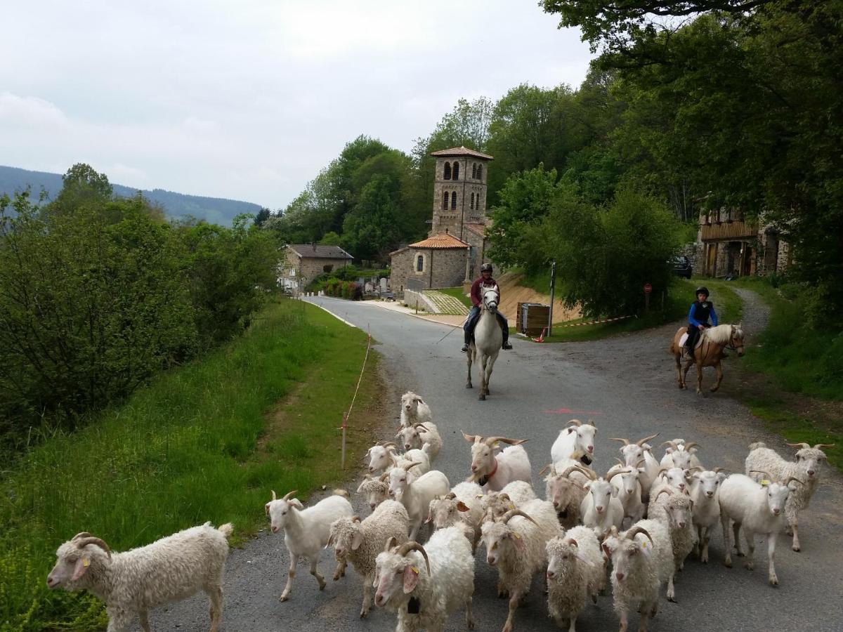 Villa La Bégude D'Amalthée Vernay Esterno foto